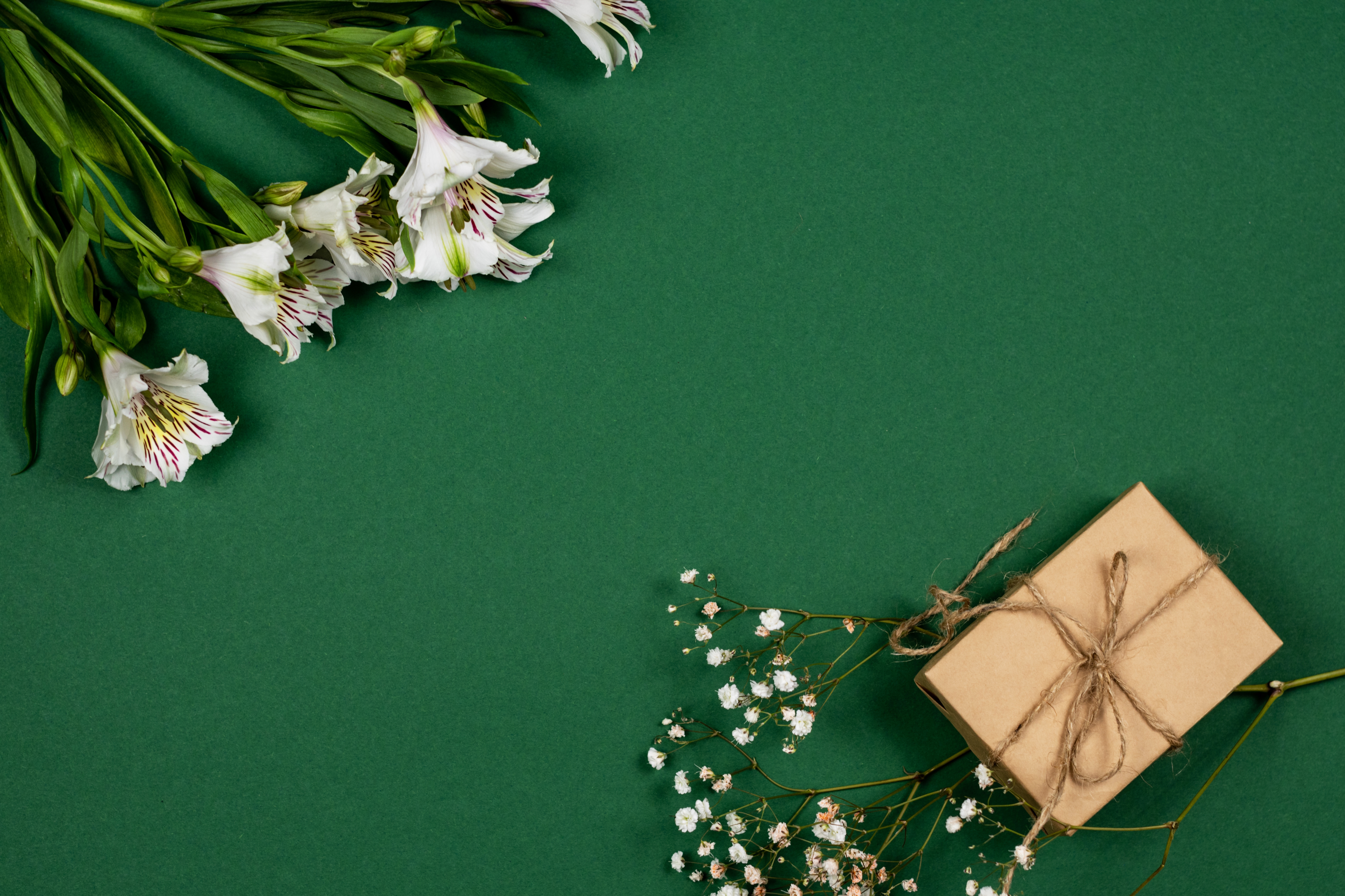 Alstroemeria et boîte cadeau