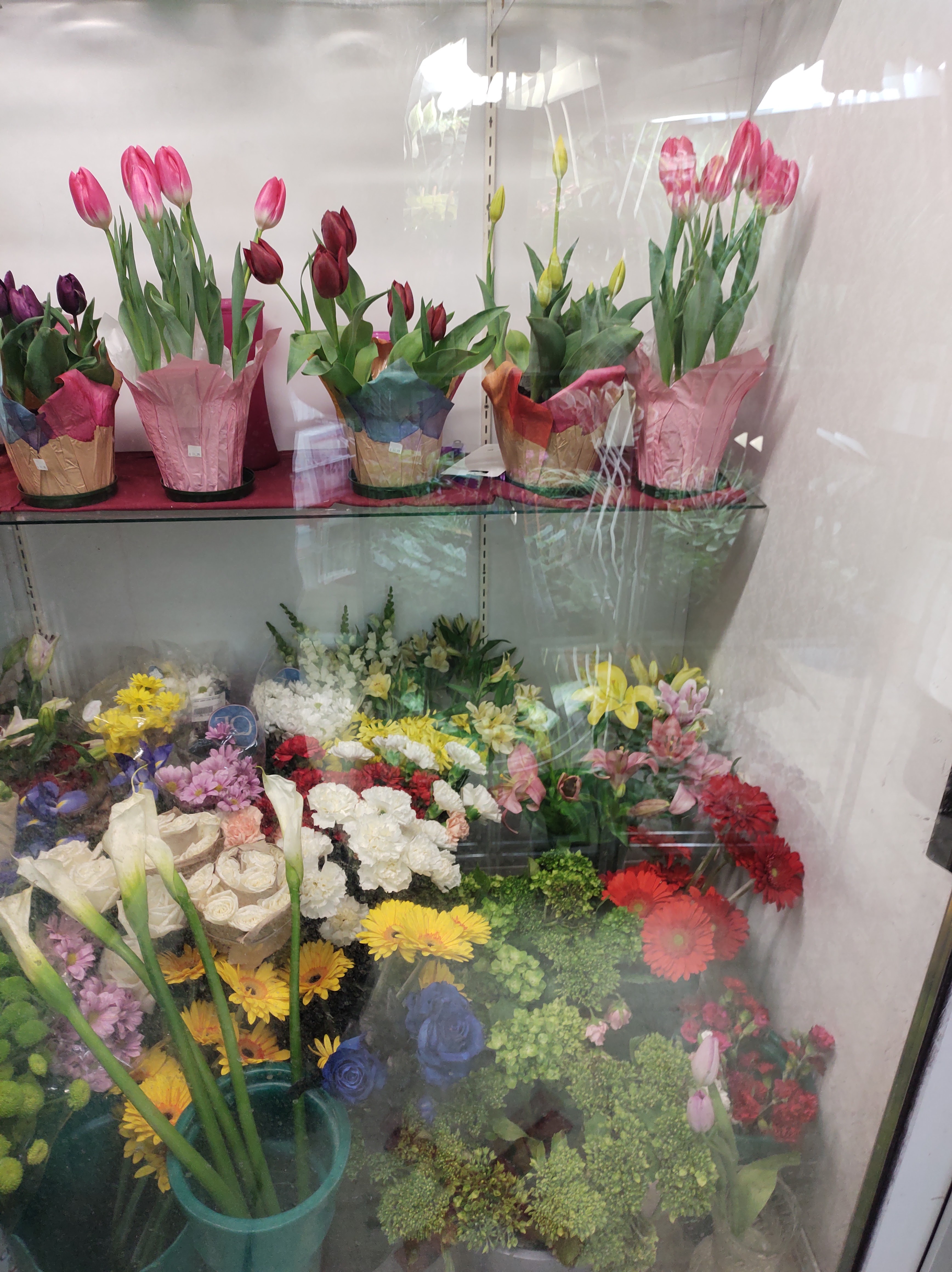Tulipes et fleurs en vitrine réfrigérée